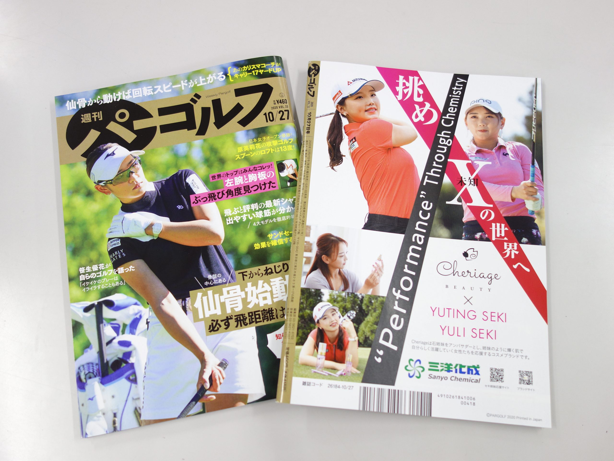 裏表紙サカエマーク