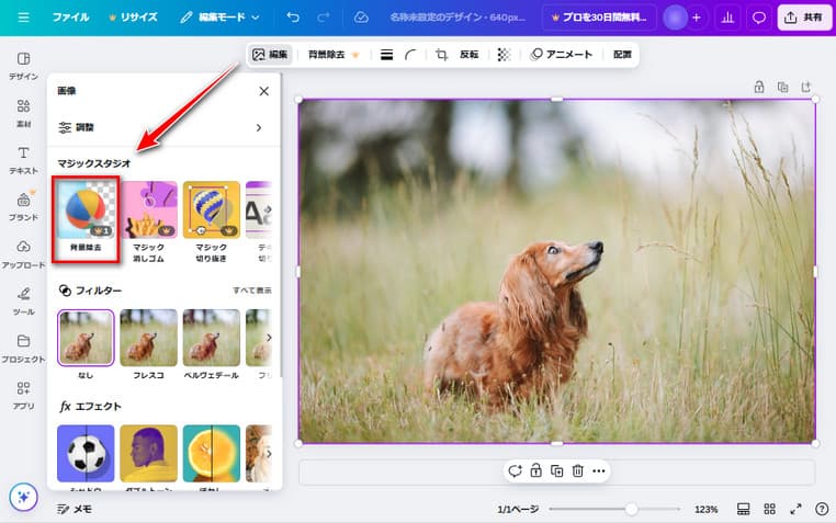 写真や画像の背景を簡単に消す・削除できるサイト