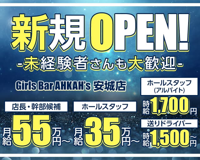 愛知の30代キャバクラ求人・体入・夜の仕事なら【アラサーショコラ】