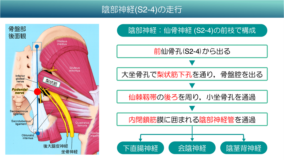 熊本ひよこ治療院