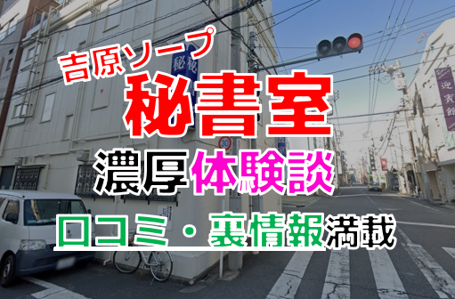 吉原高級ソープ】おすすめランキング10選。NN/NS可能な人気店の口コミ＆総額は？ | メンズエログ