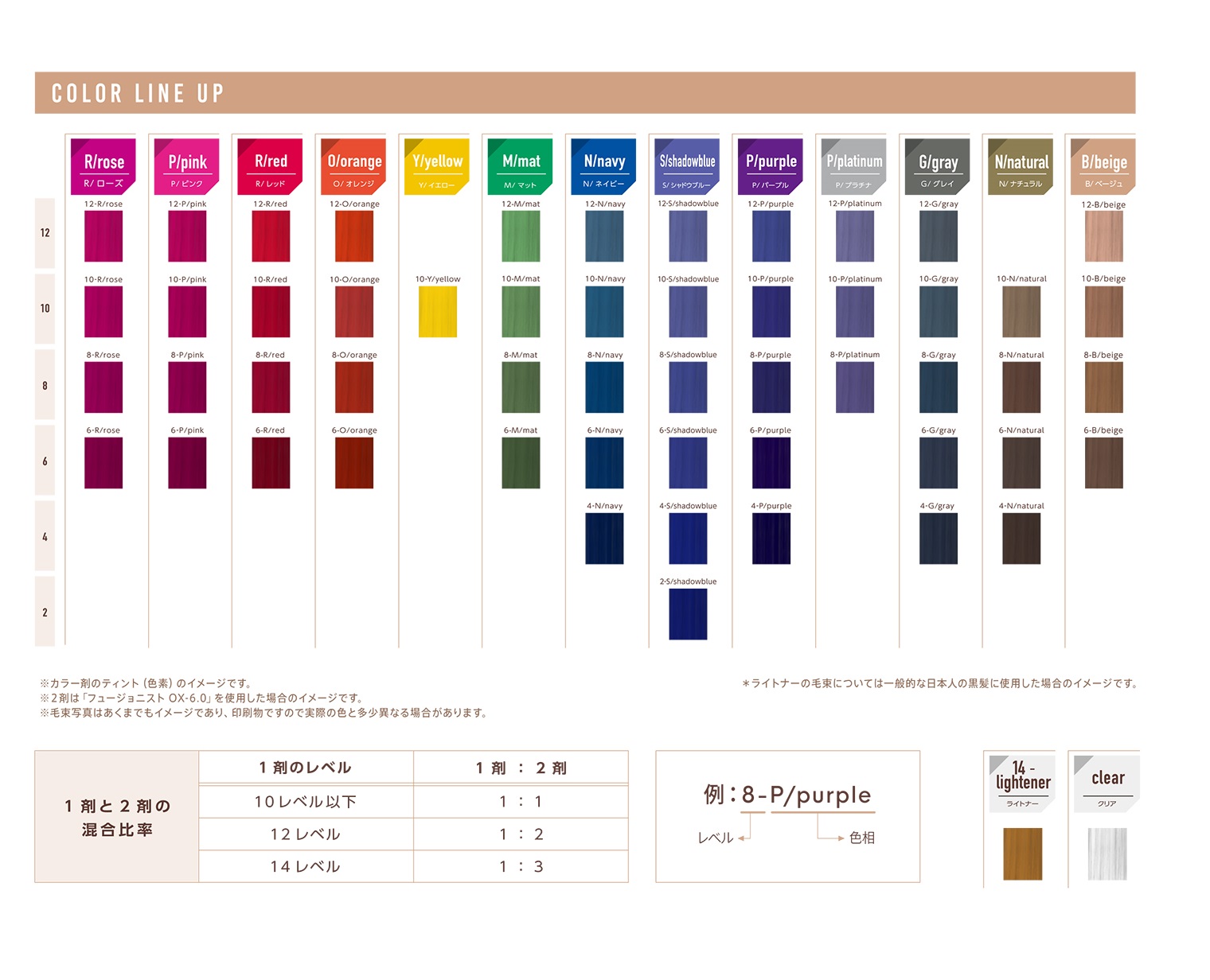 チャート フュージョニスト 21年6月発売新色入│ 九美堂グループ おすすめ商品