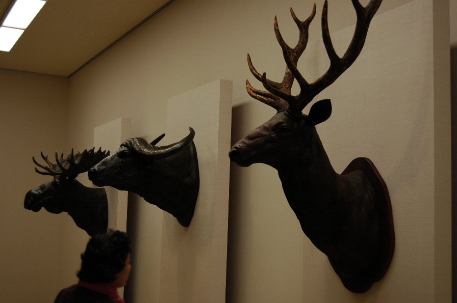 革の立体造形をしたいんだけど、という問い合わせから、革の立体造形を動画解説phoenix blog１９２６年創業の革素材問屋のスタッフが、 レザークラフトのあれこれを語ります