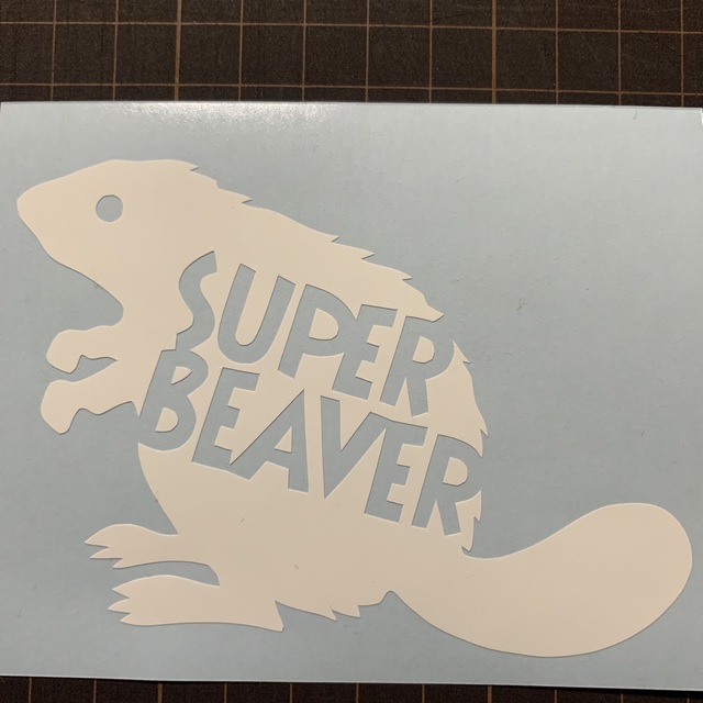 SUPER BEAVER15th ANNIVERSARY
