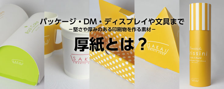 コクヨ カラーレーザー&カラーコピー用紙 厚紙用紙 A4 100枚 LBP-F31 通販 フォレストウェイ