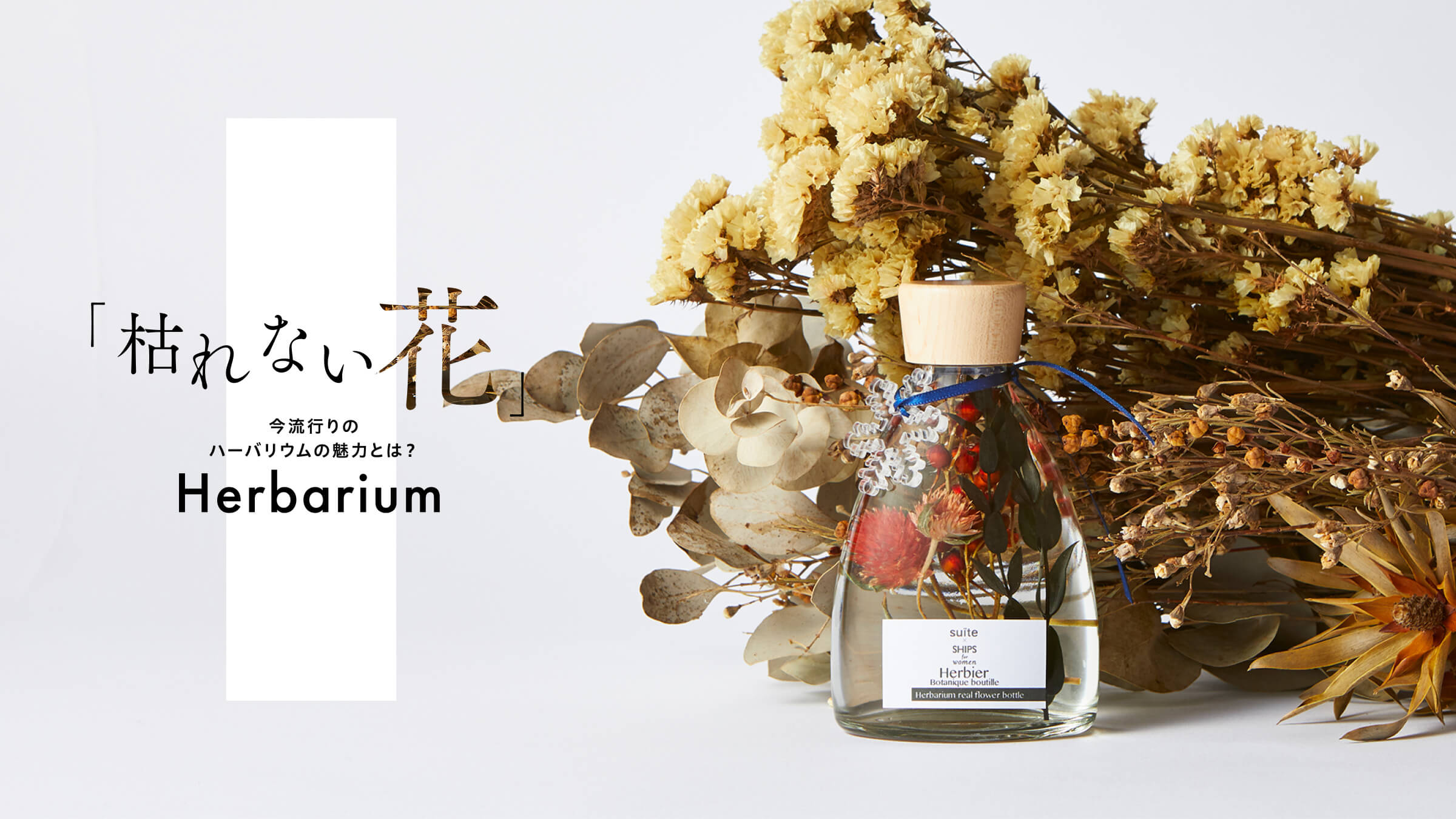 総数1962件 高級感・きれいめのバナーデザインまとめ！BANNER LIBRARY