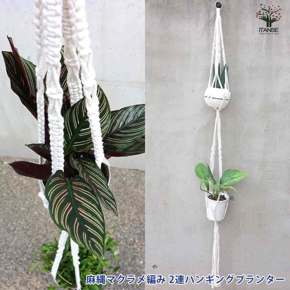 手軽で簡単にできる！ プラントハンガーの作り方LOVEGREEN ラブグリーン