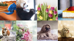 LINE公式アカウントのロゴとアイコンのダウンロード方法とは？ – LINE公式アカウント攻略ガイドL Message エルメッセージ