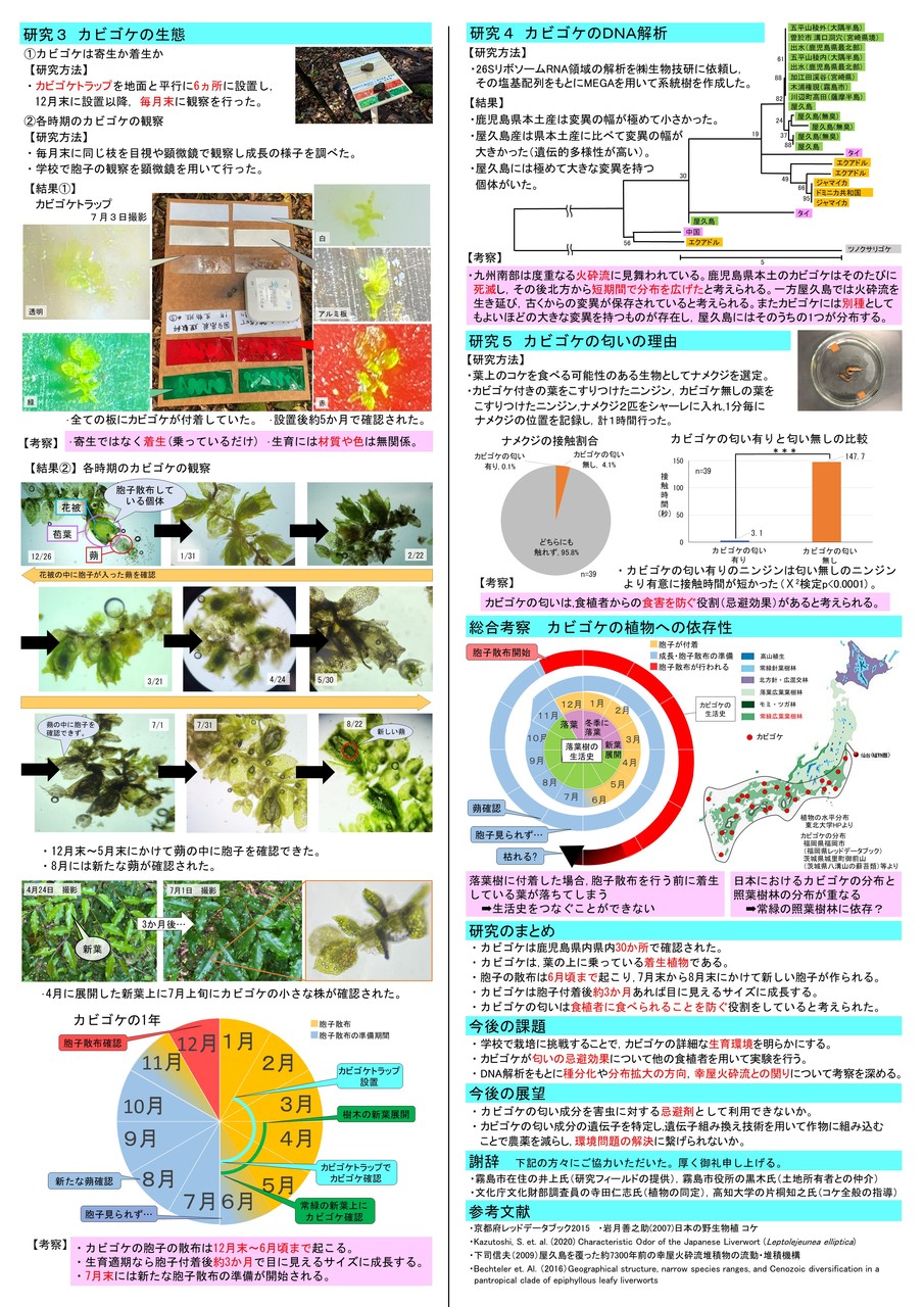 学会ポスター作成のヒント PowerPoint サイビッグネットのお役立ちブログ