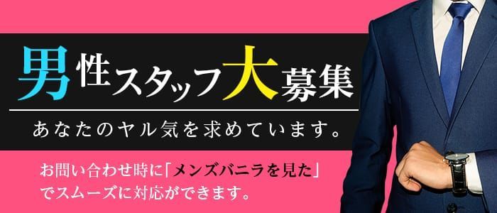 営業スタッフの風俗男性求人・高収入バイト情報【俺の風】