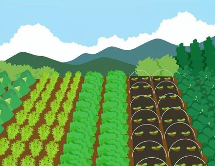 地面イラスト無料イラスト・フリー素材なら「イラストAC」