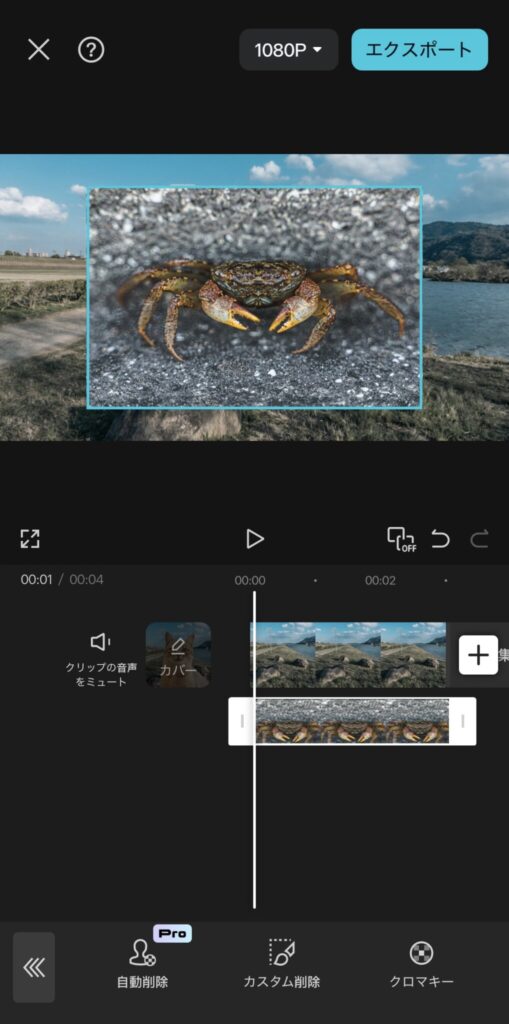 あなたのアバターとデザインを強化する:完璧に画像を丸で切り取る