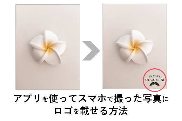 動画にウォーターマーク・ロゴ・透かし 画像・文字 を追加する方法VideoProc Vlogger使い方