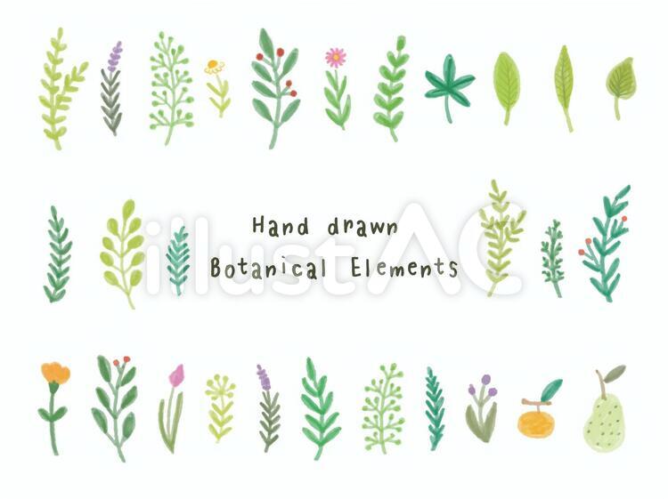 春の草花のシームレスパターン 植物の手描き水彩イラスト背景素材のイラスト素材FYI05044355ストックフォトの QleanMarket キュリンマーケット