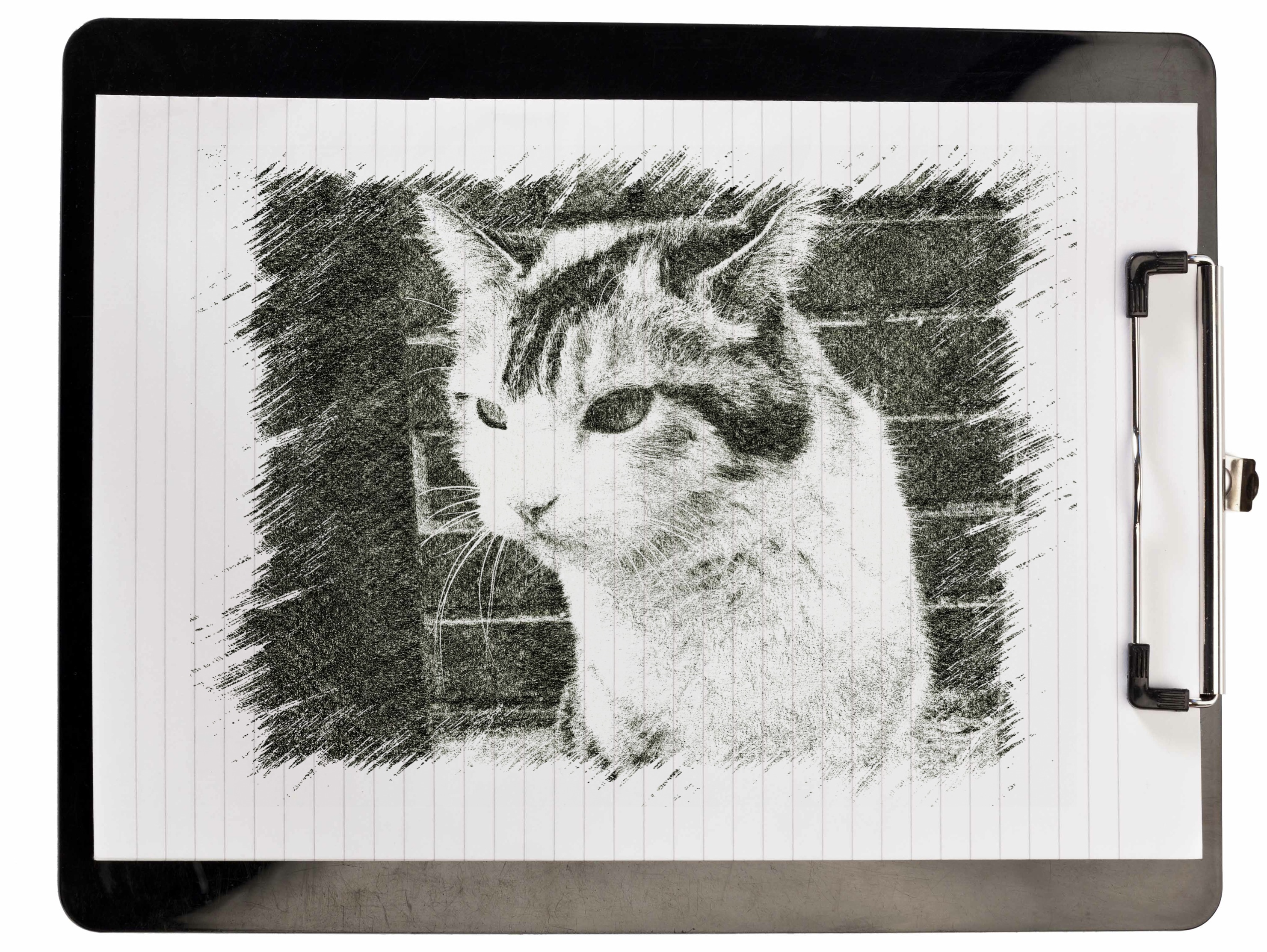 Illustrator手書き風の星や図形を描く方法 落書き効果イラレ- ぴよログ