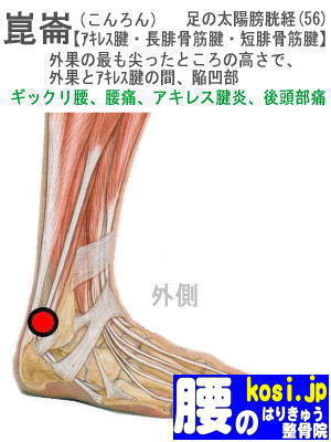 Amazon「崑崙雪菊 コンロンユキギク、こんろんゆきぎく、こんろんゆききく 」◎無農薬高山自然ハーブ花茶 お試し茶 １０ｇ＋桂花烏龍茶１６ｇ中国茶の宝石館ハーブティー 通販