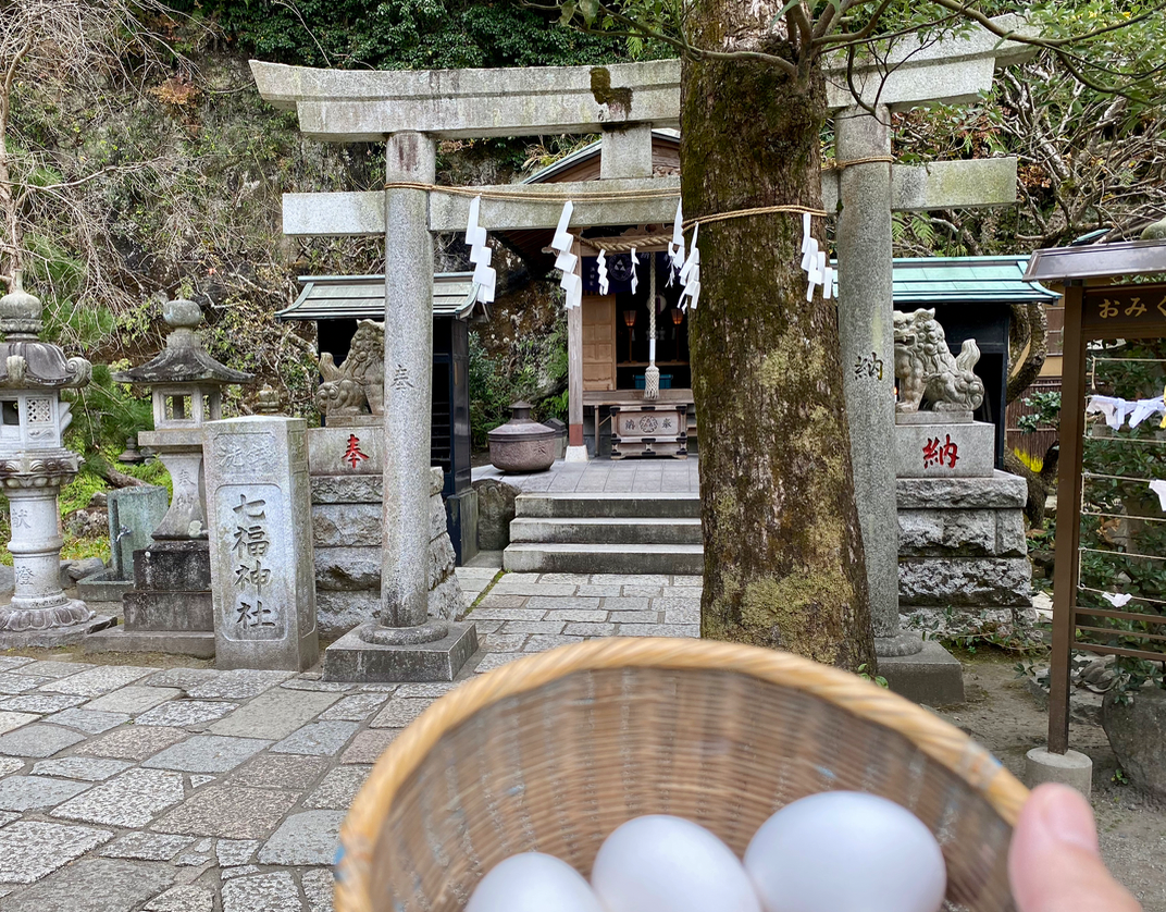 熱海市来宮神社⛩️境内のハートマークの枯葉が有名だけど、ずっと同じ葉っぱ使っているのかな？と想像（笑） | kazuが投稿したフォトブック |