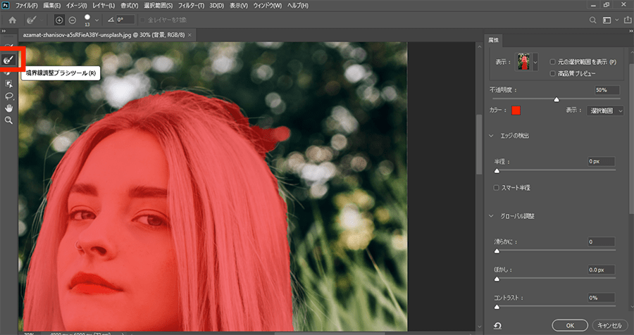 自動選択ツール初心者でもできる-Adobe Photoshop Elements7 フォトショップエレメンツ７操作マニュアル 使い方Sierrarei シエラレイ