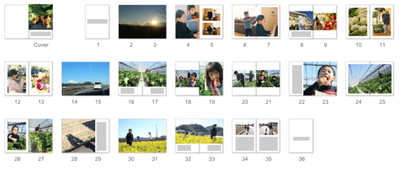 テンプレートで簡単に作れるフォトブック4選！テンプレート数と種類で比較しました
