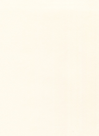 クリーム色での外壁塗装！特徴、デザイン事例を徹底解説