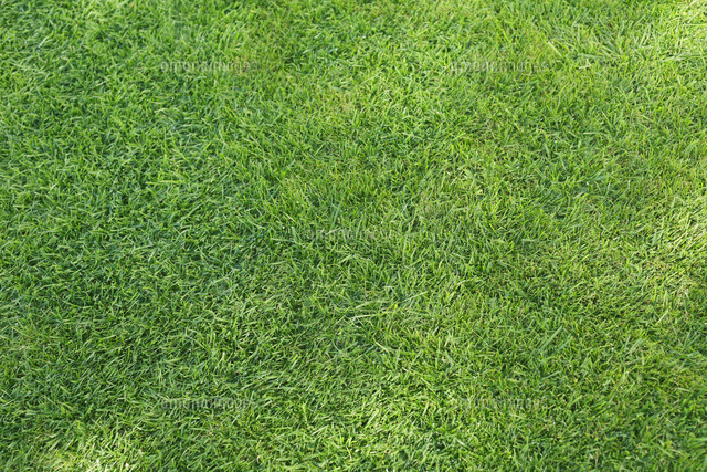 徹底解説 グリーンバックとは？撮影と編集方法を解説 2025年