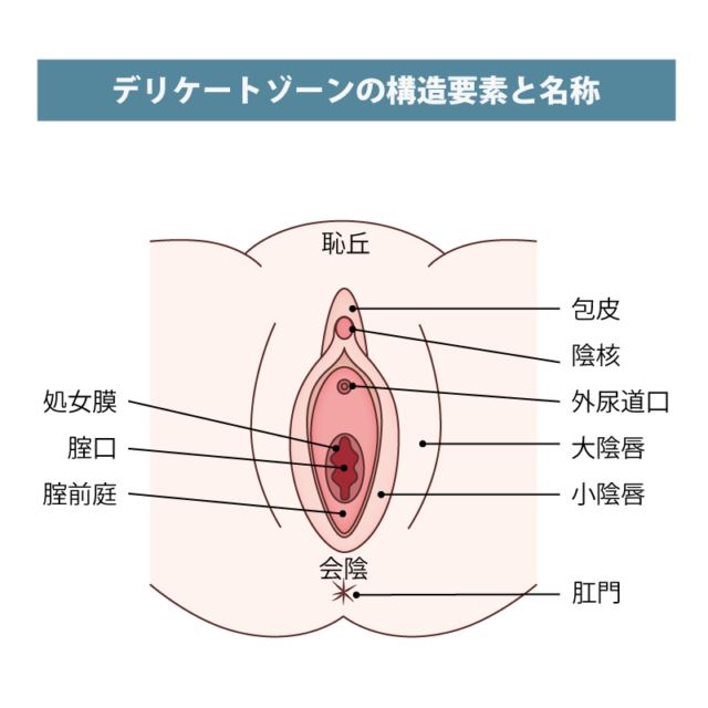 短小包茎とは！短小は何センチから？日本人の平均サイズや治療法 - アトムクリニック - atom-clinic