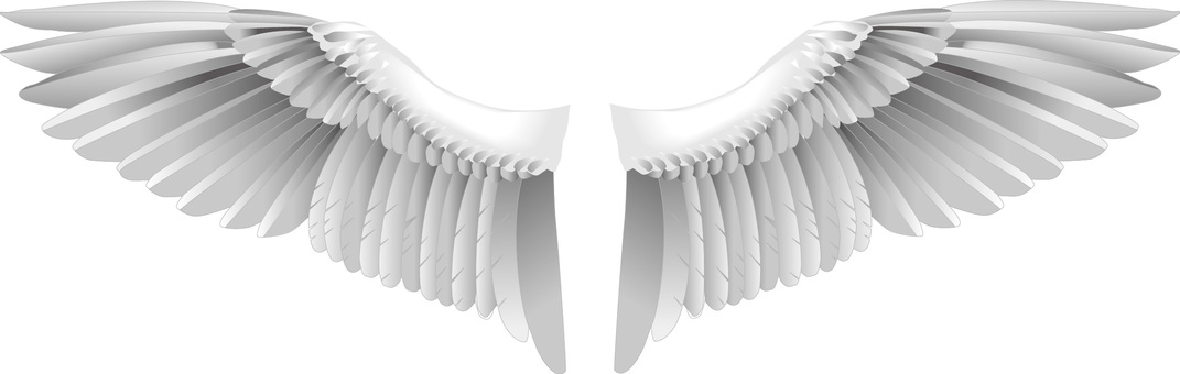 羽根の簡単な描き方をイラストでご紹介！羽毛、フェザー、装飾品の絵の素材に！お絵かき図鑑