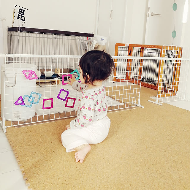 トイザらスで買えるマグフォーマー類似品「パワークリックス」を比較レビュー！マグ父ちゃん