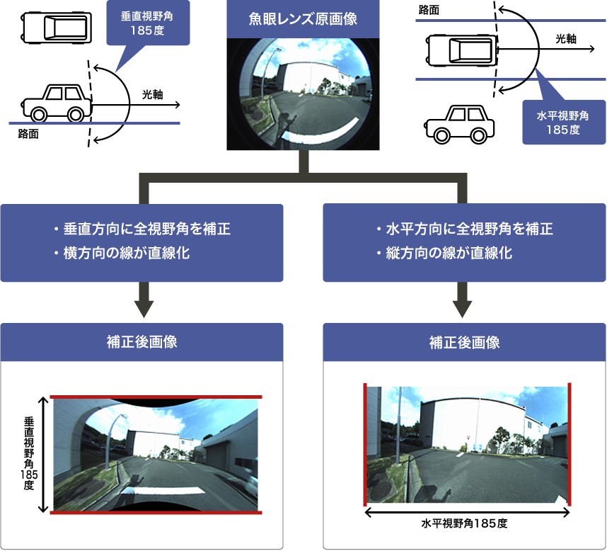 Lomoに一目惚れ: 私の 魚 眼を通して見た世界 · Lomography