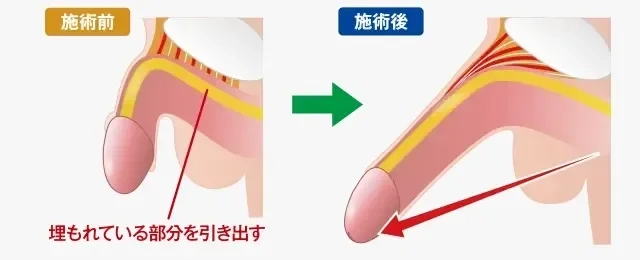 東スポＵＭＡデスク on X: 