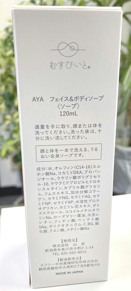 瀬戸内海に面する港町に健在！ 広島県呉市で発見したディープな魅力あふれるレトロ商店街を探索する | 文春オンライン