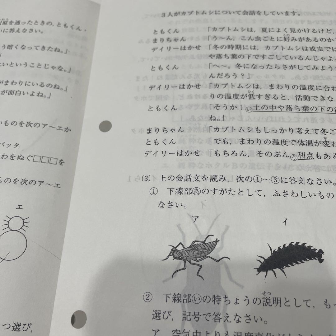 整理整頓に下準備。最小限のメンバーしかいなくて進捗がヤバい／じしょへん～辞書編集部 1（6）（画像3/8） -