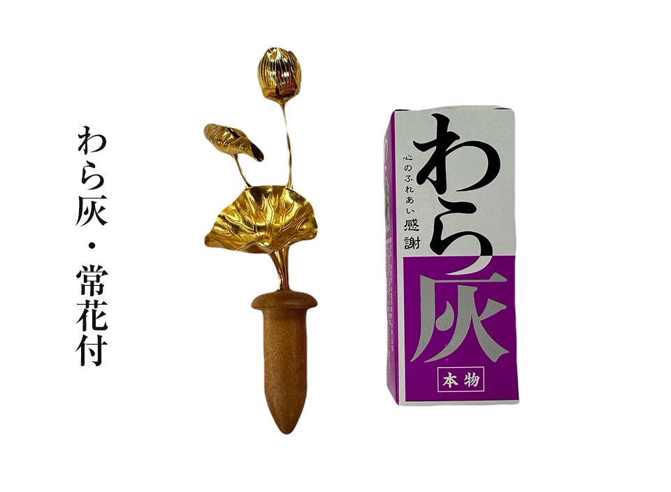 亚花梨、非洲花梨和刺猬紫檀的概念及异同_行业新闻_张家港万蓬木业有限公司