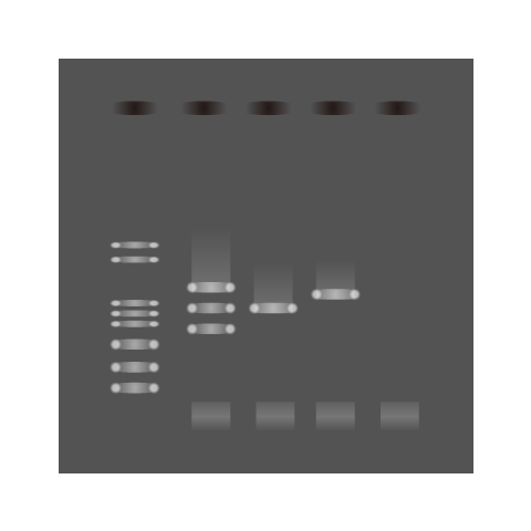 第一種電気工事士 - ピクトグラムフリーイラスト素材