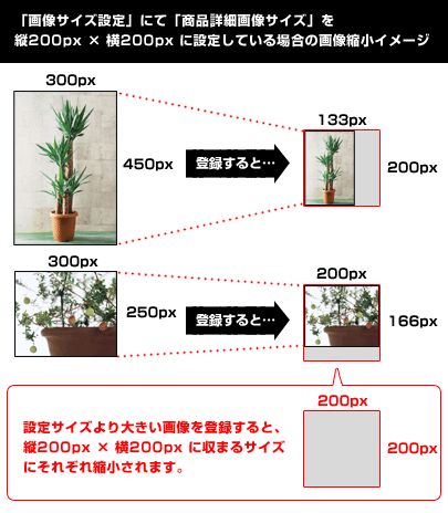 カラーミーショップのテンプレートを使用したけどイメージと違う
