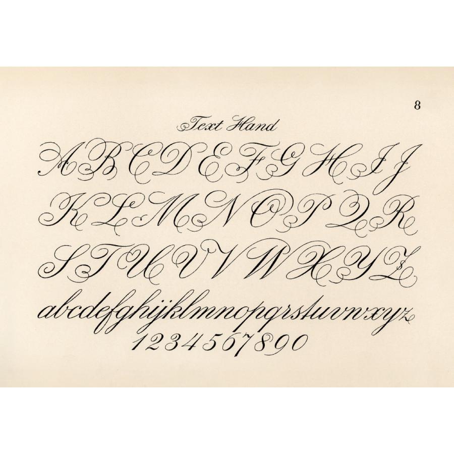 アルファベットのデザイン無料ベクトル素材