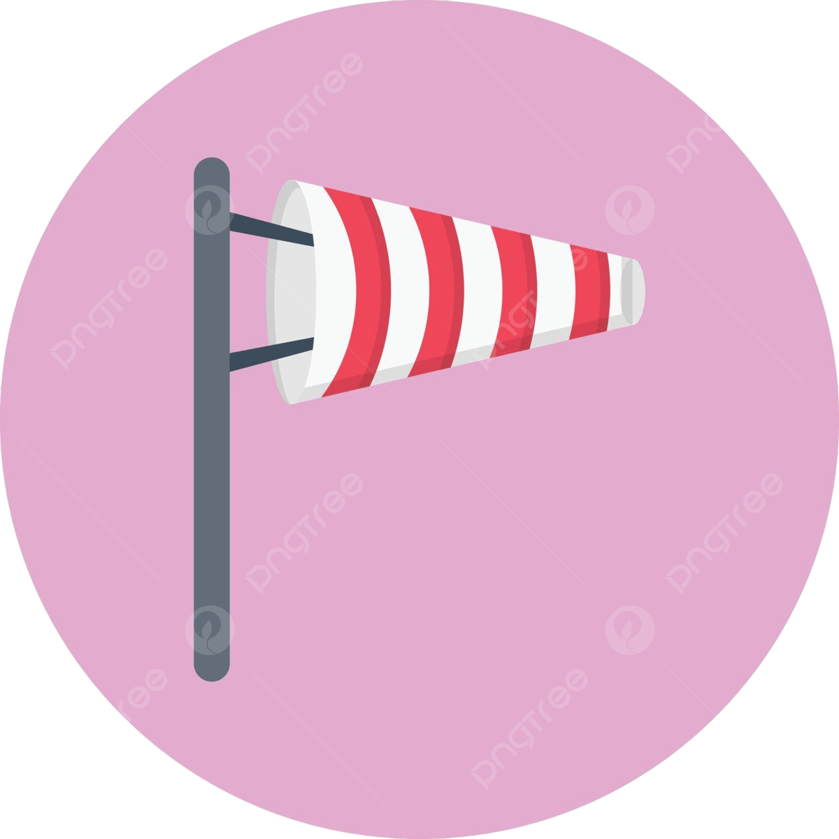 レジストロアウル納車後2年経過。良かった点・気になった点②withしっぽ