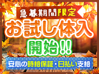 トップページ|栃木県小山市ピンクサロン ひよこ倶楽部