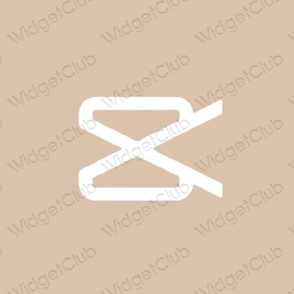 Capcut グレー加工TikTok