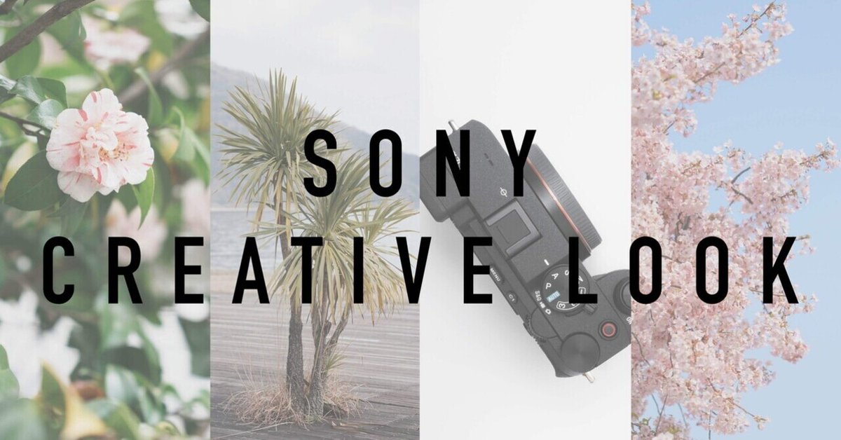 SONY α7Ⅳ レビュー 8ヶ月使って感じた良いところ、イマイチなところ 作例ありかめら12号