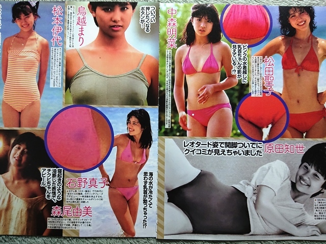 薬師丸ひろ子 乳首が透けそうな美乳チラ水着姿がエッチな美人女優のお宝画像 : Photos