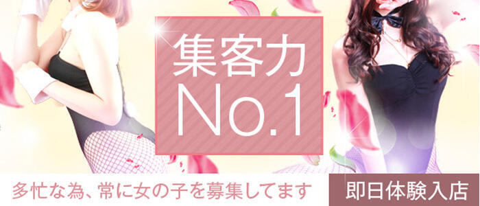 Amazon.com: 不死の吸血姫がドSのご主人様を募集しているようです (あとみっく文庫): 9784860329297: Hitoshi