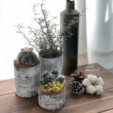 プラ鉢をリメイク１００均で高級感ある鉢にハンドメイドの作り方・アイデア暮らしニスタ