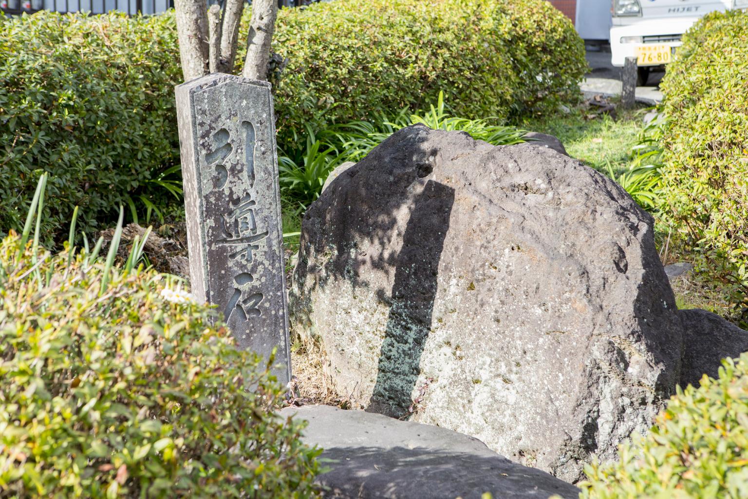 つつじヶ丘 比叡山 満開｜ガイドブックに載らない京都