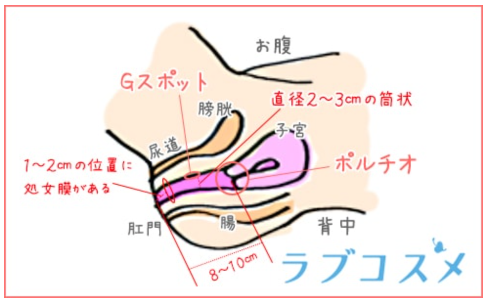 日本人平均は13.56cm？スマホで自分に合ったTENGAが確認できる - 週刊アスキー