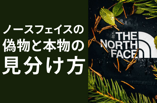 THE NORTH FACEザ ノースフェイス裏起毛 ロゴプリント プルオーバー パーカー STANDARD H S M L トップスパーカー サカゼン公式通販