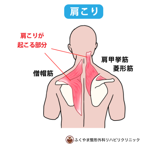 微NTR】痴漢・盗撮・セクハラ教師 性犯罪被害に遭うヒロインたち らずべりぃMix -