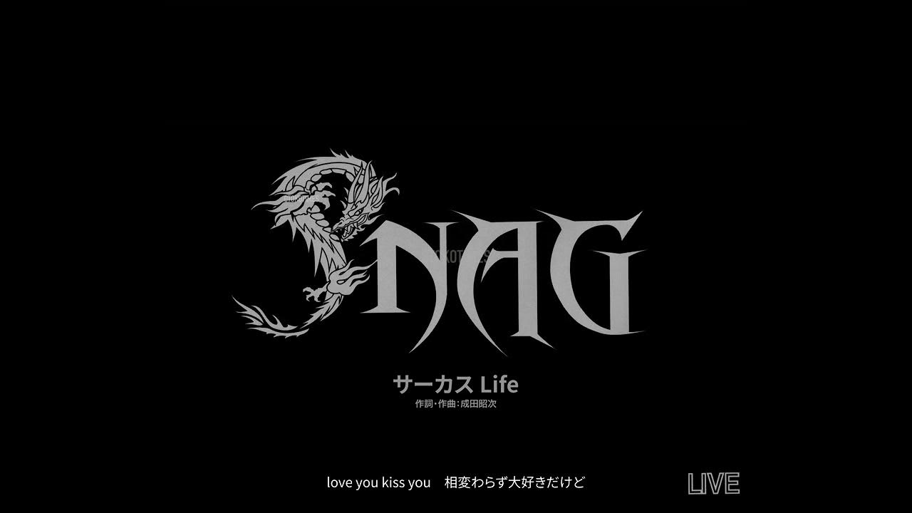 LP スーパーシャイ ハッピー・ミュージック SUPSHY06LPBR Beyond The Groove00260 TomMischによるダンスミュージック・プロジェクト