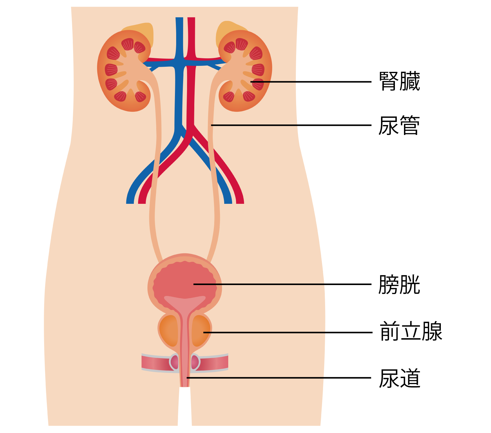 風俗エステの「前立腺マッサージ」の前にしておきたい事前準備とは？｜エステの達人マガジン