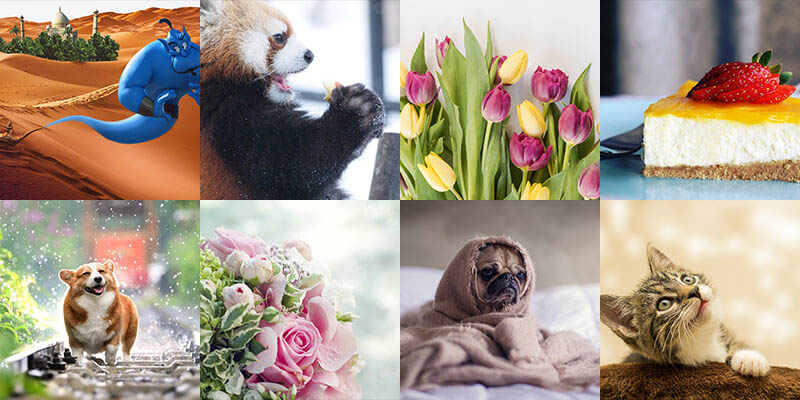 くすみピンクと可愛いアイコン - LINE 着せかえLINE STORE